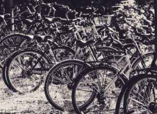 Best Phone Holders for Mountain Bikers Best Phone Holders for Mountain Bikers