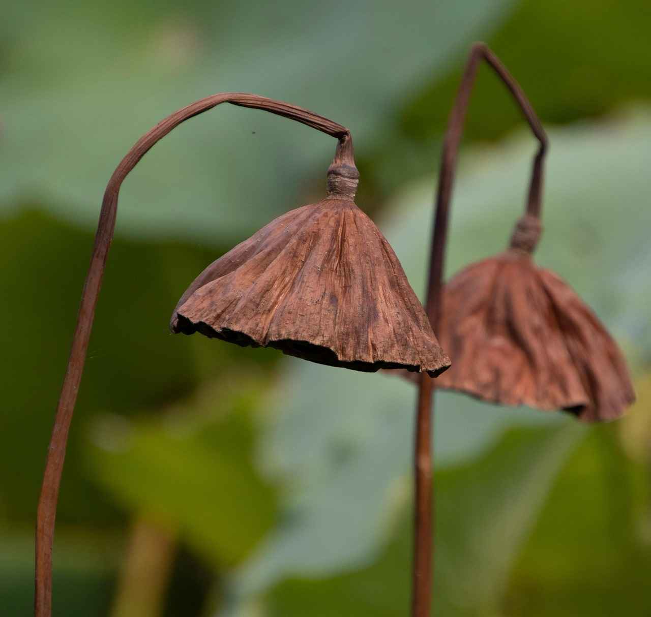 Best Pod Systems of 2025: A Buyer’s Guide 5 How to Maintain Your Pod System for Longevity