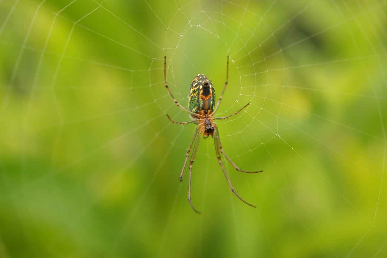 Top Features to Look for in a Portable Coffee Maker