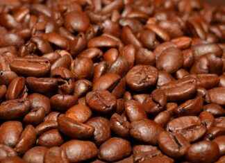 Best Portable Coffee Makers for Every Budget – From $20 to $200 Best Portable Coffee Makers for Every Budget – From $20 to $200