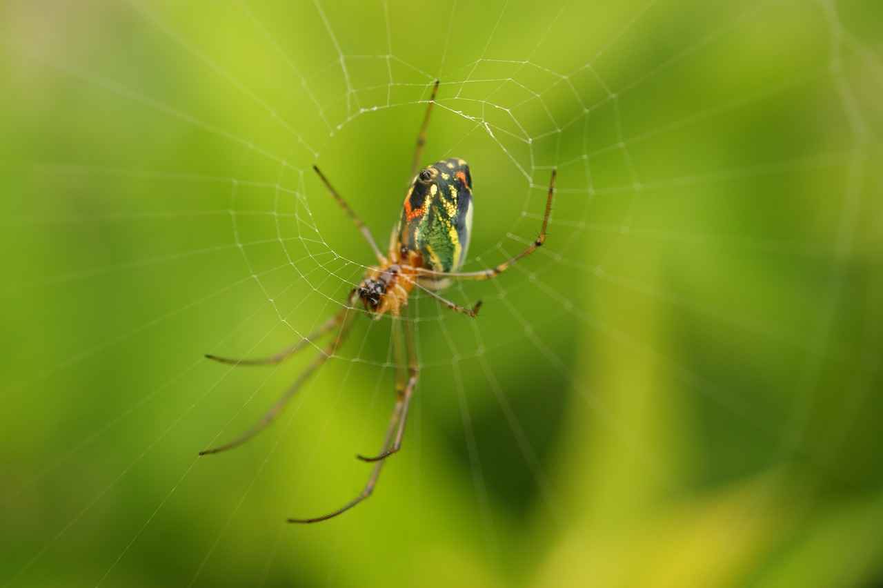 Conclusion: Finding Your Perfect Portable Coffee Maker