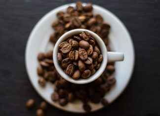 Best Portable Coffee Makers for the Office Best Portable Coffee Makers for the Office