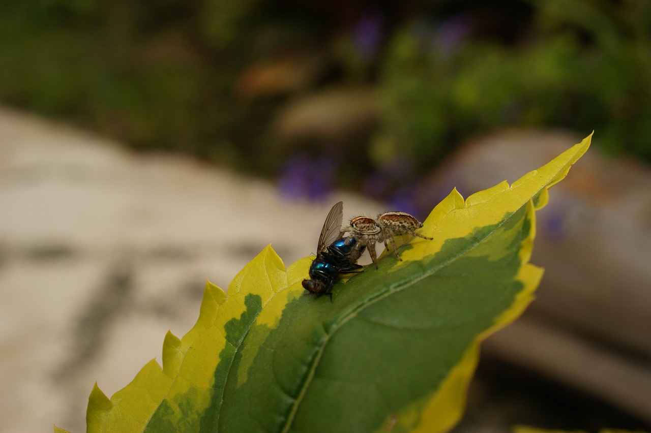 Best Portable Coffee Makers for the Office 2 Top Features to Look for in Portable Coffee Makers