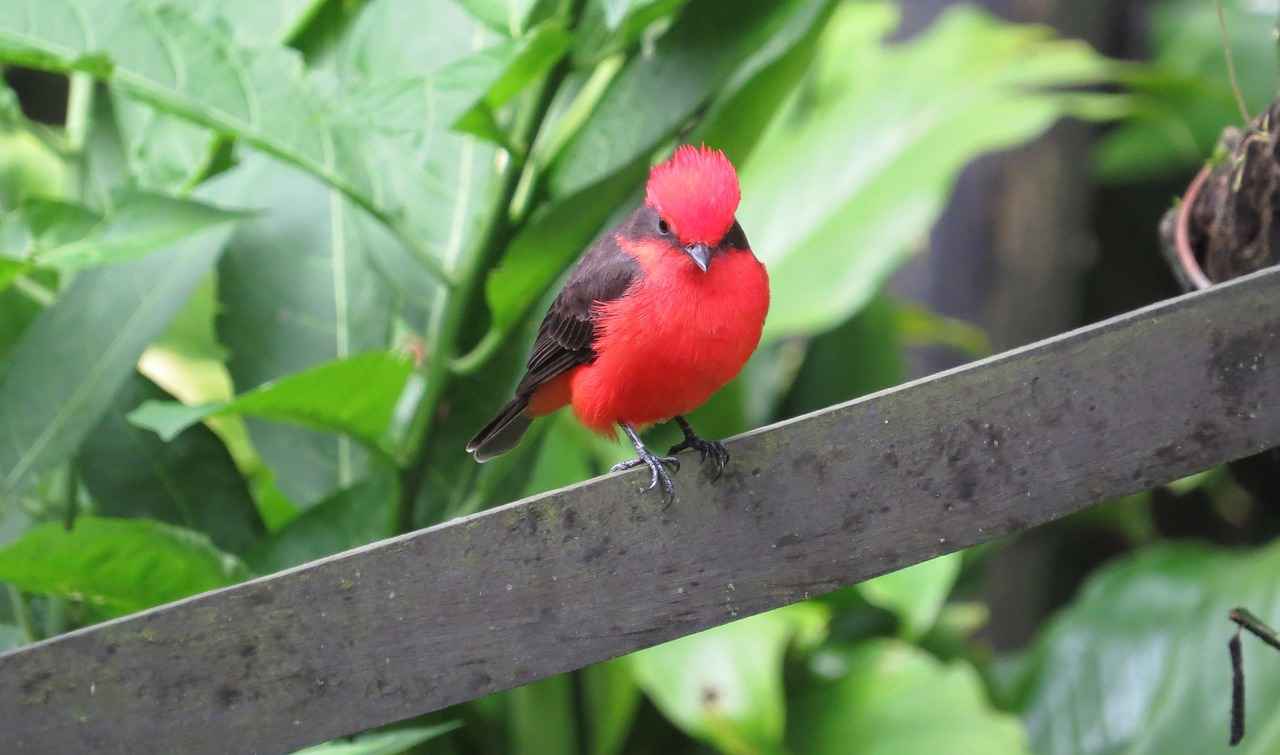 Best Portable Coffee Makers for Your Work Lunch Break 3 Best Portable Coffee Makers on the Market