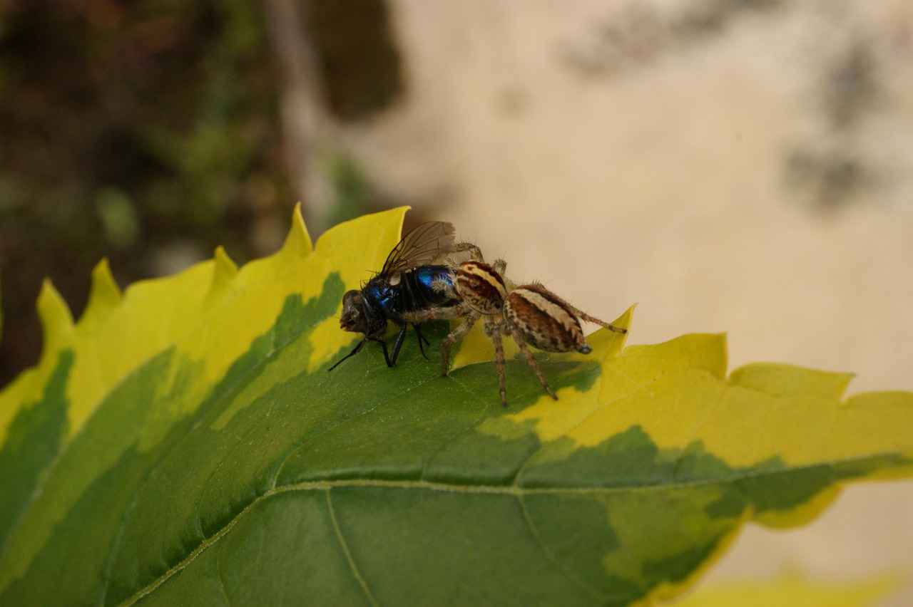 Best Portable Coffee Makers with Grinder – Fresh Grounds, Fresh Brew 4 How to Brew the Perfect Cup on the Go