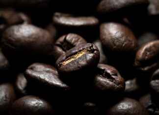 Best Portable Coffee Makers with Heating Function – Hot Coffee Anytime Best Portable Coffee Makers with Heating Function – Hot Coffee Anytime