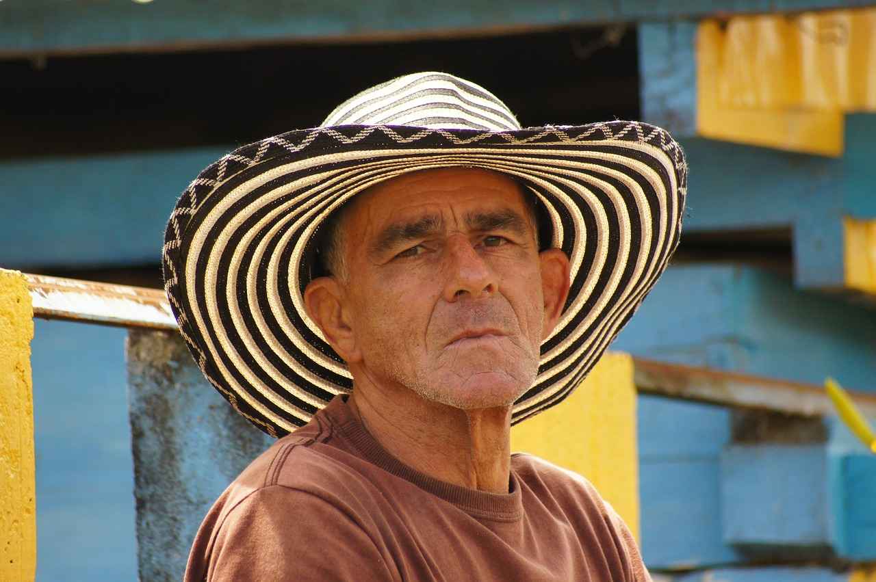 Best Models on the Market