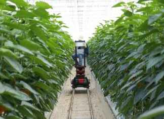 Best Smart Home Devices to Improve Your Home’s Air Quality Best Smart Home Devices to Improve Your Home's Air Quality