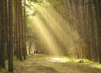 Best Smart Watches for Outdoor Adventures & Hiking Best Smart Watches for Outdoor Adventures & Hiking