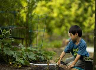 Best Vegetable Choppers for Busy Cooks: Quick and Efficient Tools Best Vegetable Choppers for Busy Cooks: Quick and Efficient Tools