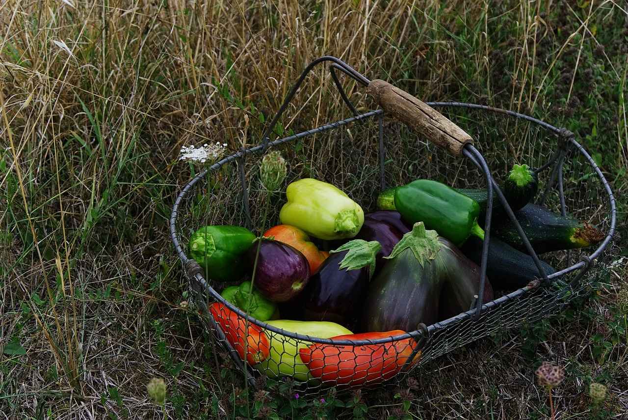 Best Vegetable Choppers for Cutting and Slicing Hard Veggies 1 1. Why You Need a Vegetable Chopper