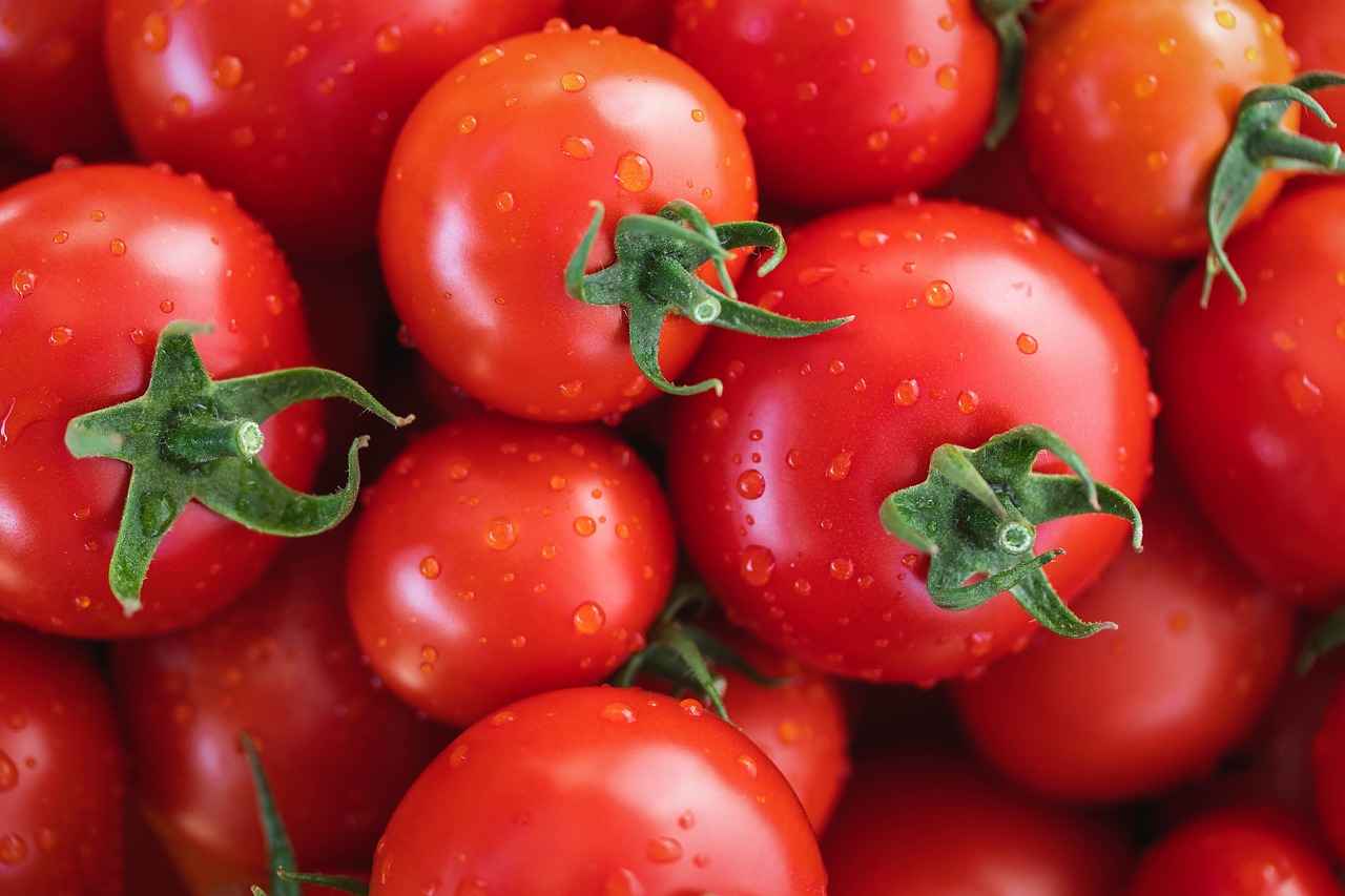 Best Vegetable Choppers for Making Chopped Veggie Salads 9 9. Conclusion: Choosing the Right Vegetable Chopper
