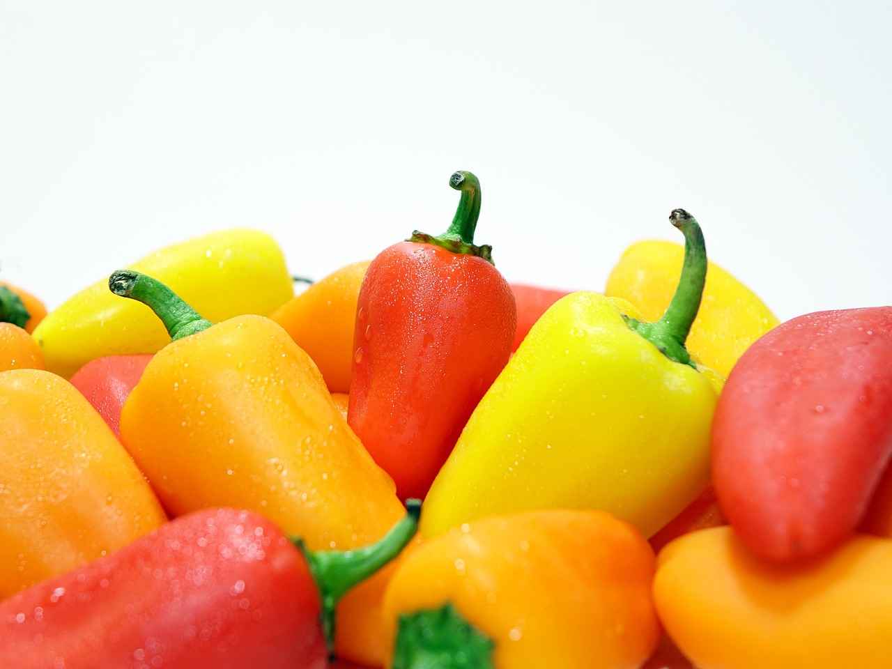 Best Vegetable Choppers for Making Chopped Veggie Salads 3 3. Key Features to Look For