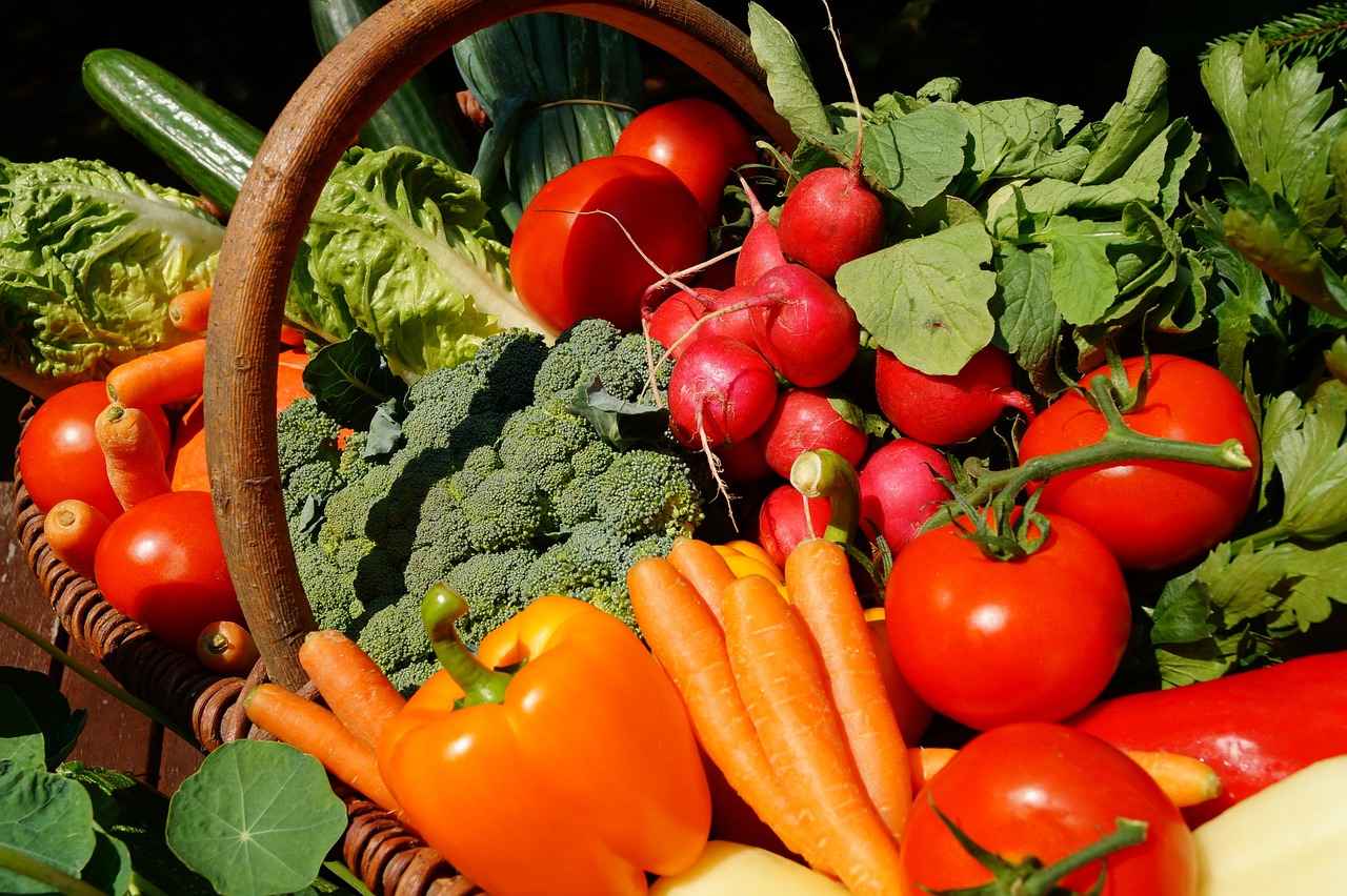 Best Vegetable Choppers for Making Healthy Salads Quickly 2 Types of Vegetable Choppers