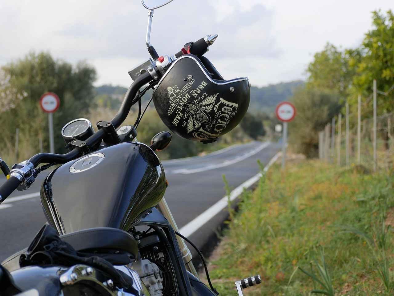 Best Vegetable Choppers for Preparing Meals in a Hurry 6 Conclusion: Choosing the Right Vegetable Chopper for You