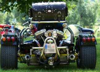 Best Vegetable Choppers for Preparing Veggie-Based Dishes Best Vegetable Choppers for Preparing Veggie-Based Dishes