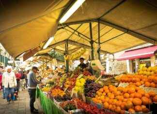 Best Vegetable Choppers for Quick and Efficient Vegetable Prep Best Vegetable Choppers for Quick and Efficient Vegetable Prep