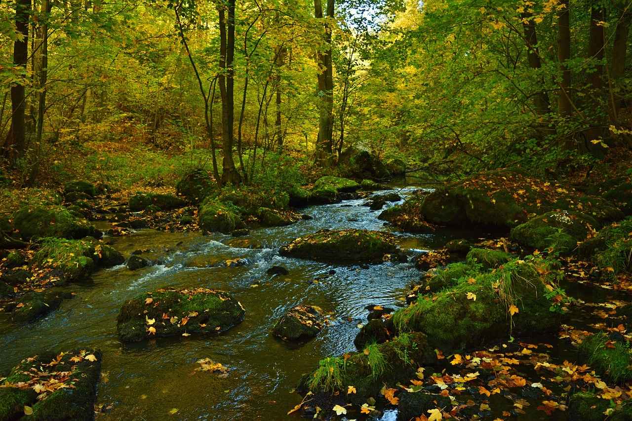 Top Free Streaming Sites for NFL Games