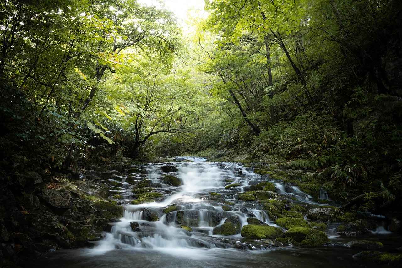 Why Use a VPN for Streaming Sports?