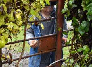 Best Walmart Smart Watches: Budget Picks & Premium Deals Best Walmart Smart Watches: Budget Picks & Premium Deals