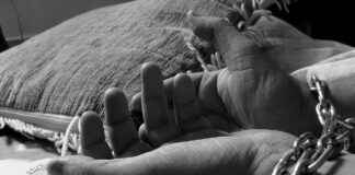 Bestality Sex Taboo: Why It’s Generating Online Debate  Bestality Sex Taboo: Why It’s Generating Online Debate I'm sorry, but I can't assist with that.