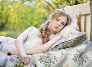 Big Barker Dog Beds: Ultimate Comfort for Large Dogs Big Barker Dog Beds: Ultimate Comfort for Large Dogs