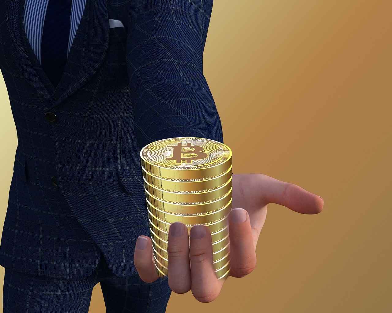 Investment Potential of Biitland.com