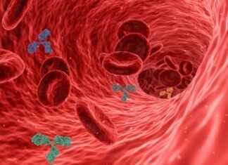 Blood Work Fasting: Can I Drink Water Before My Test? Blood Work Fasting: Can I Drink Water Before My Test?