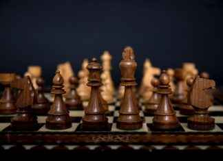 Blooket Game ID: Understanding Its Role in Gameplay Blooket Game ID: Understanding Its Role in Gameplay