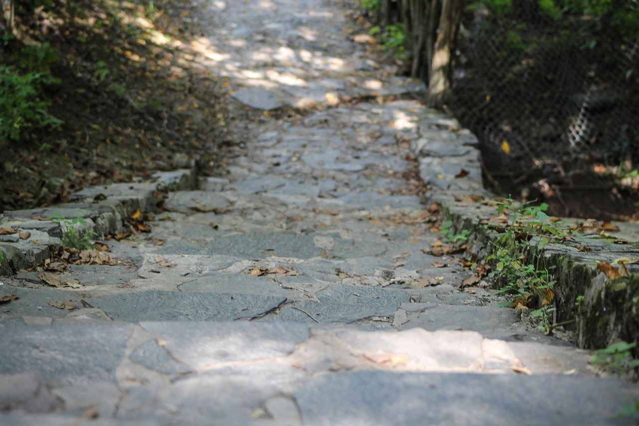 Common Challenges in Tracking Student Progress