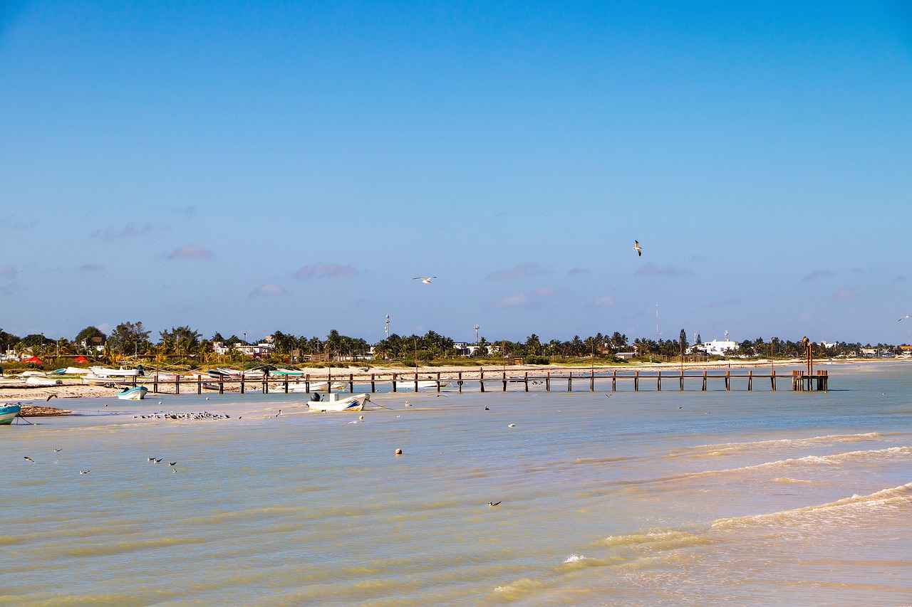 Setting Up Blooket for Effective Reporting