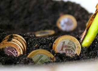 Blooket Success Stories: How Educators Are Transforming Learning Blooket Success Stories: How Educators Are Transforming Learning