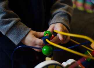 Blookets: Collecting and Utilizing Them in Games Blookets: Collecting and Utilizing Them in Games