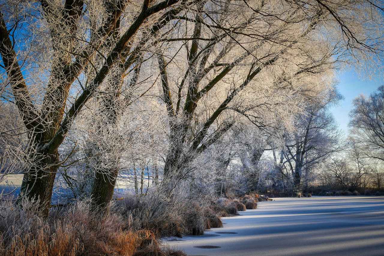 The Science Behind Freezing Water
