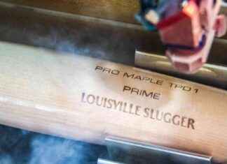 Booming Demand for Torpedo Bats: A Batmaker’s Dream booming-demand-for-torpedo-bats-a-batmakers-dream