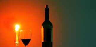 Bronovel.com: Is This the Best Site for Your Next Read? Bronovel.com: Is This the Best Site for Your Next Read?