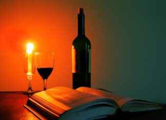 Bronovel.com: Is This the Best Site for Your Next Read? Bronovel.com: Is This the Best Site for Your Next Read?