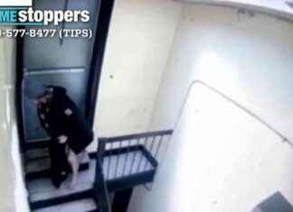 Bronx Community Helps Capture Rape Suspect bronx-community-helps-capture-rape-suspect