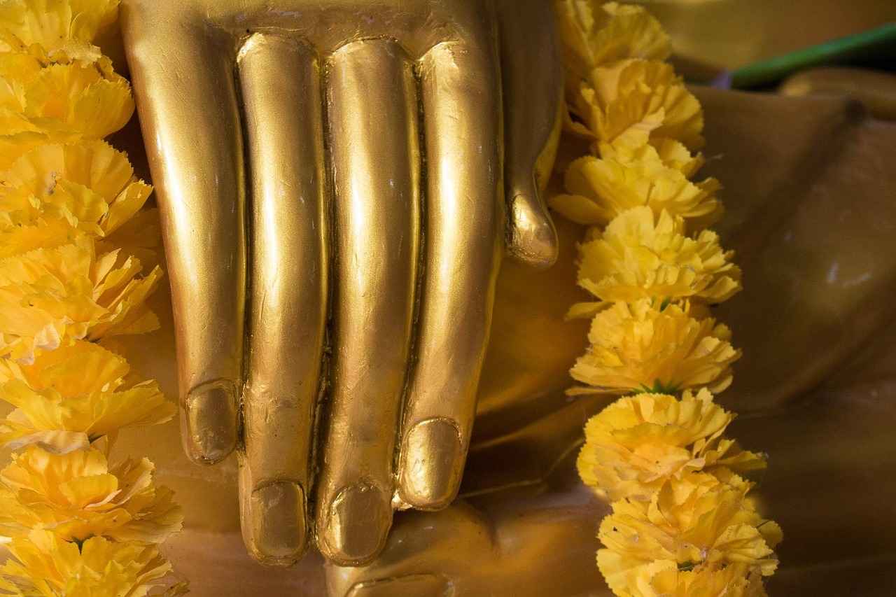 Educational Programs During Buddha Purnima