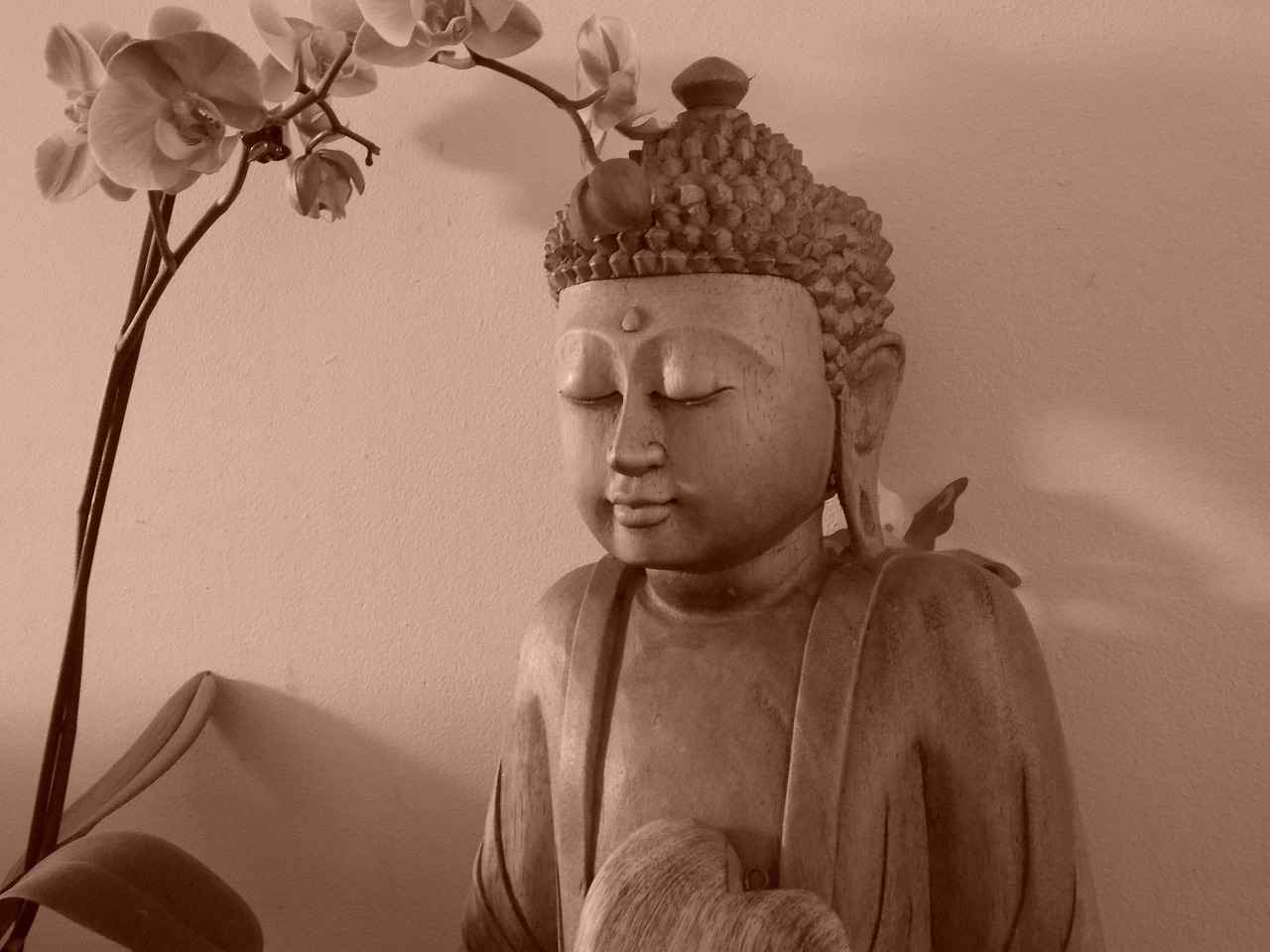 Impact of Buddha Purnima on Local Communities