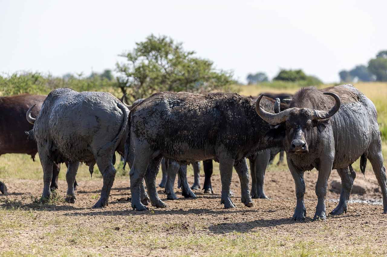 Fan Reactions and Insights