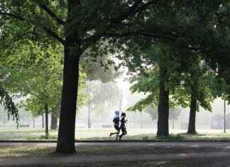 BuffStreams Live: How to Watch Sports Online for Free BuffStreams Live: How to Watch Sports Online for Free