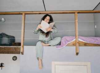 Bunkr Album Platform: What Happened and Where to Go Now Bunkr Album Platform: What Happened and Where to Go Now