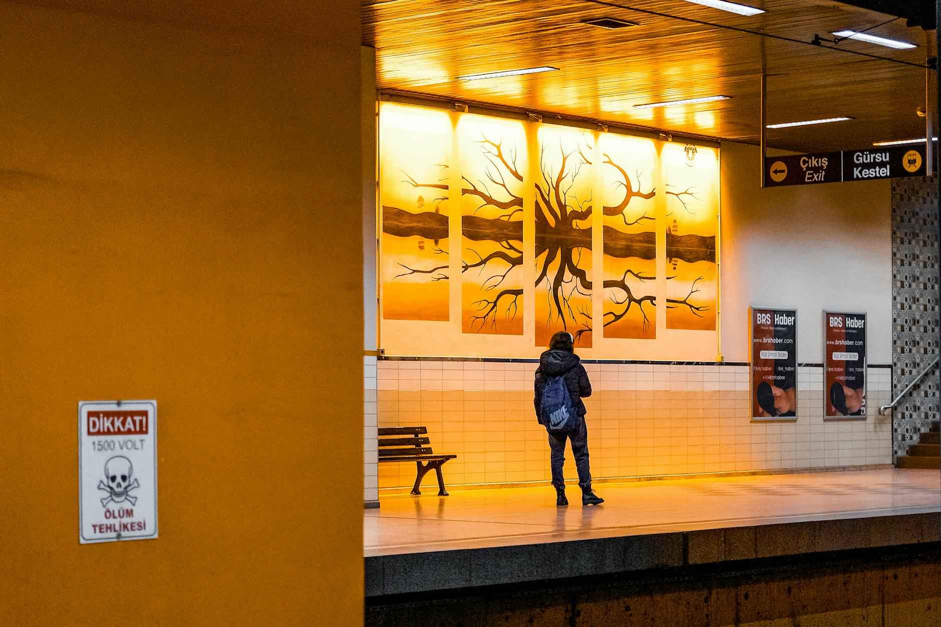 Where to Go Now: Alternatives to Bunkr Album