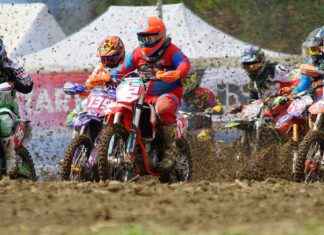 Buying Guide: Finding a Honda Civic Si for Sale Buying Guide: Finding a Honda Civic Si for Sale