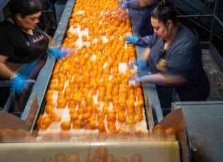 California Farmers Prepare for Economic Impact of Trump’s Tariffs california-farmers-prepare-for-economic-mpact-of-trumps-tariffs