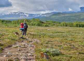 Camping Movies for Kids: Adventure Awaits in the Great Outdoors Camping Movies for Kids: Adventure Awaits in the Great Outdoors