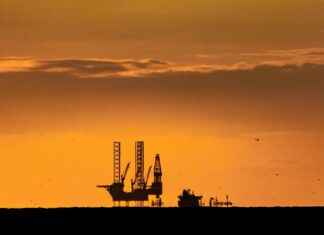 Can CBD Help in Reducing Depression Symptoms? Can CBD Help in Reducing Depression Symptoms?