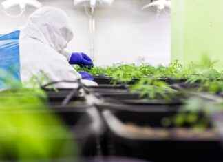 Can CBD Help with Autoimmune Diseases? Can CBD Help with Autoimmune Diseases?