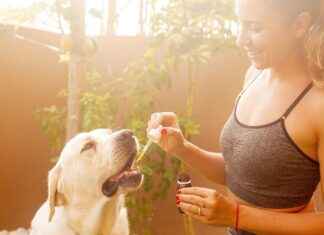 Can CBD Reduce Muscle Spasms? Can CBD Reduce Muscle Spasms?